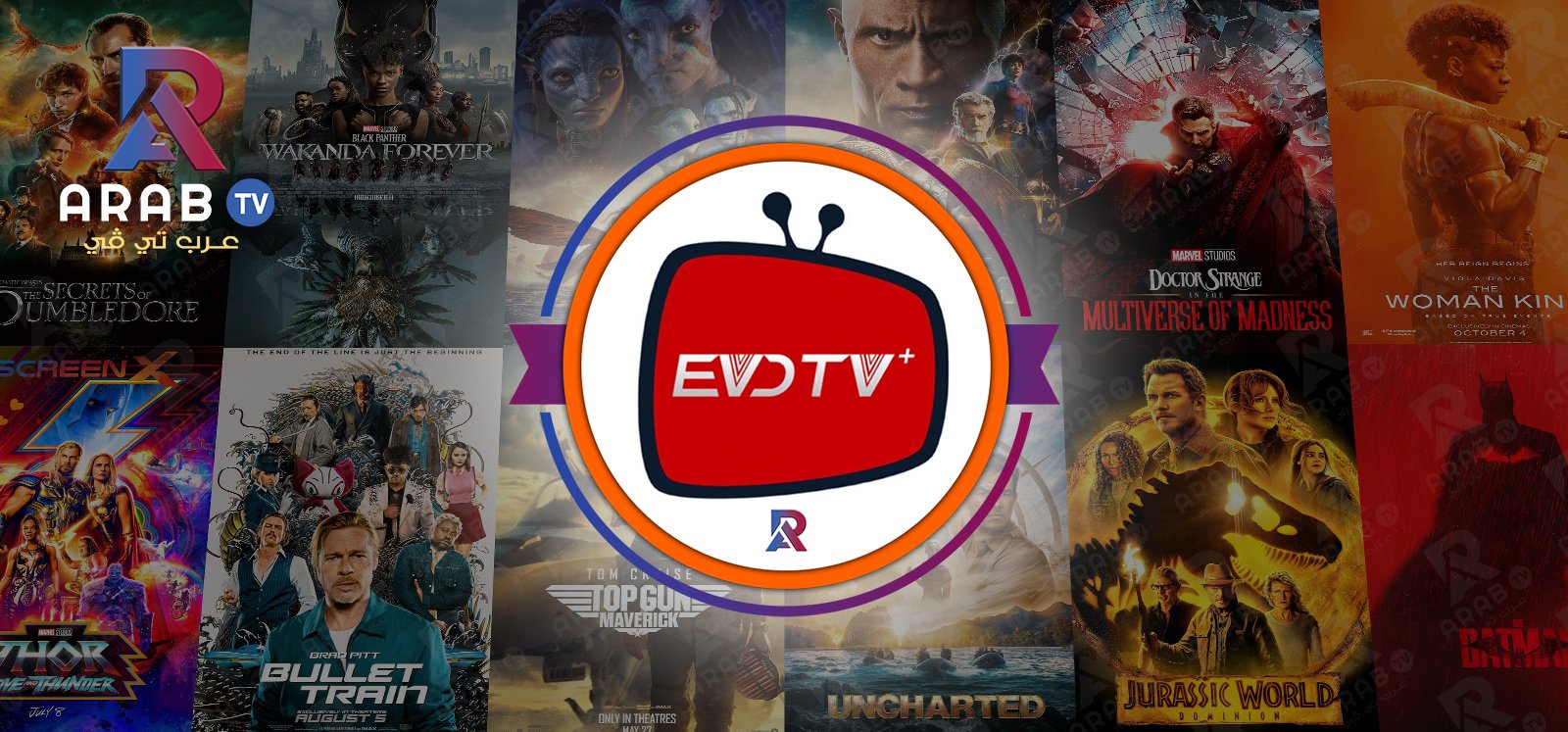 اشتراك EVD السيرفر الملكي الافضل والاقوي اشتراك EVD السيرفر الملكي الافضل والاقوي
